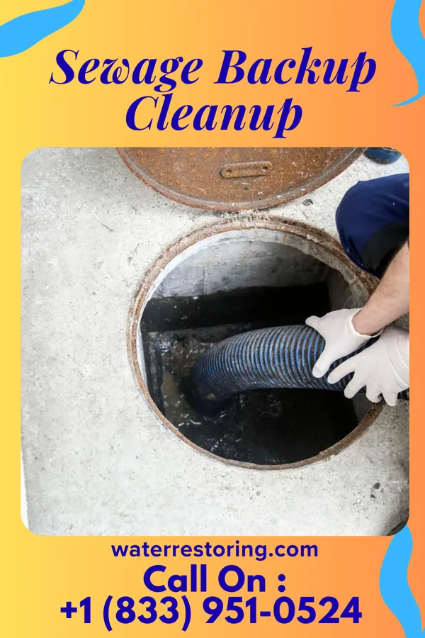 Sewage Backup Cleanup in Barnum, IA